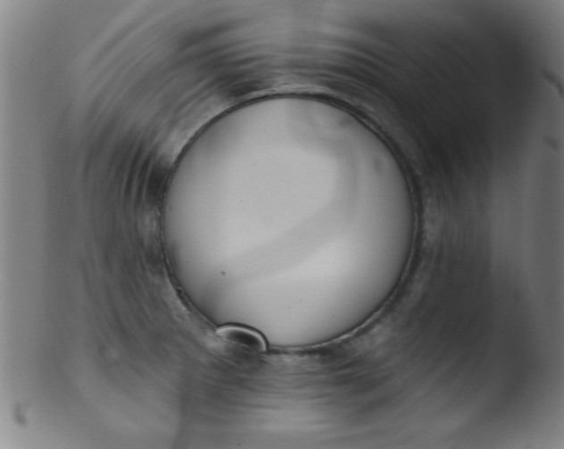 X0000103471281200809261856