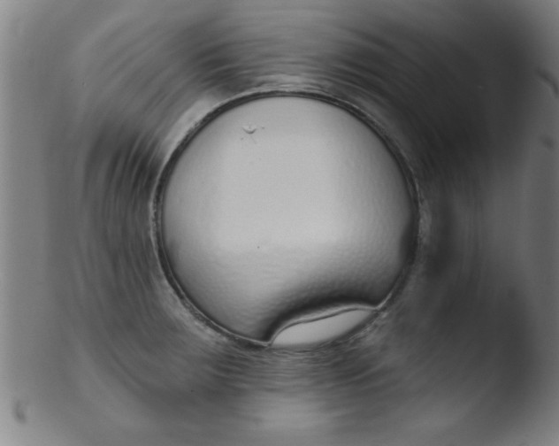 X0000103471283200809261856