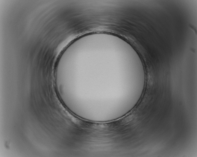 X0000103471286200809261856