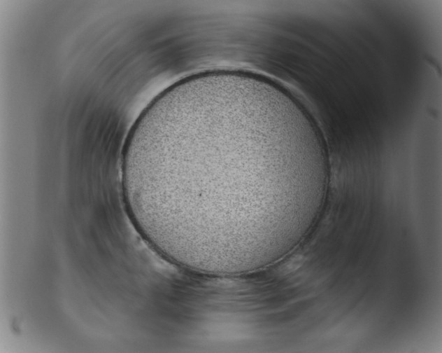 X0000103471287200809261856