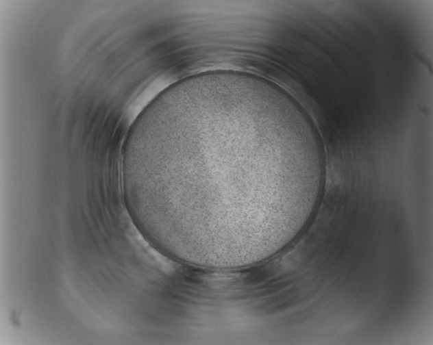 X0000103471290200809261856