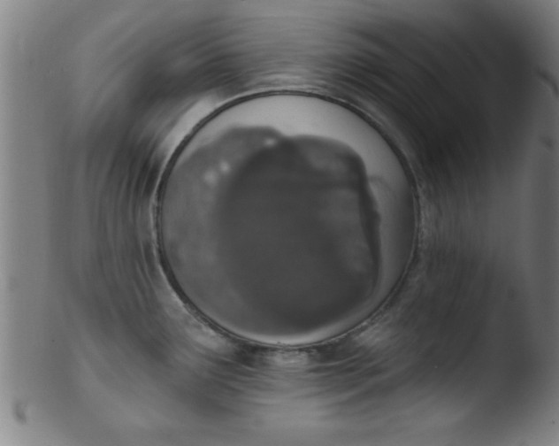 X0000103471291200809261856