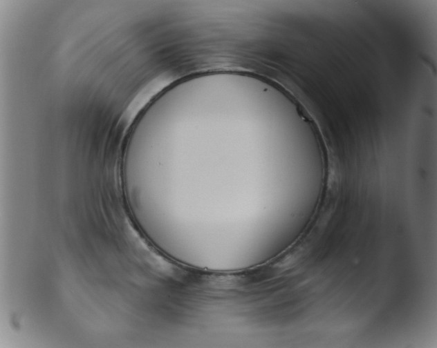 X0000103471293200809261856