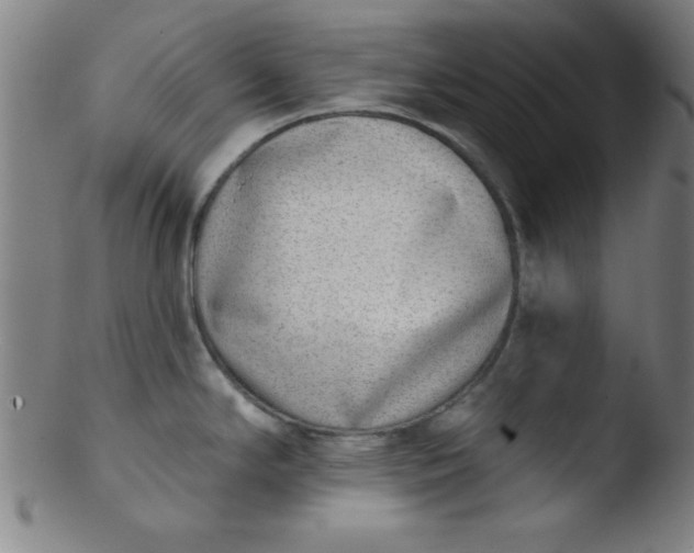 X0000103471294200809261856