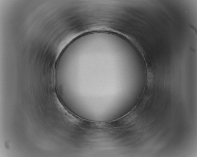 X0000103471295200809261856