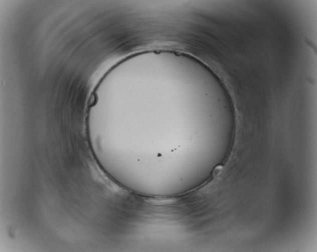 X0000103471296200809261855