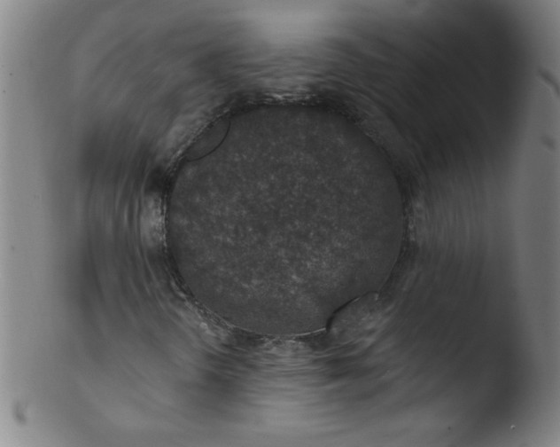 X0000103471298200809261855