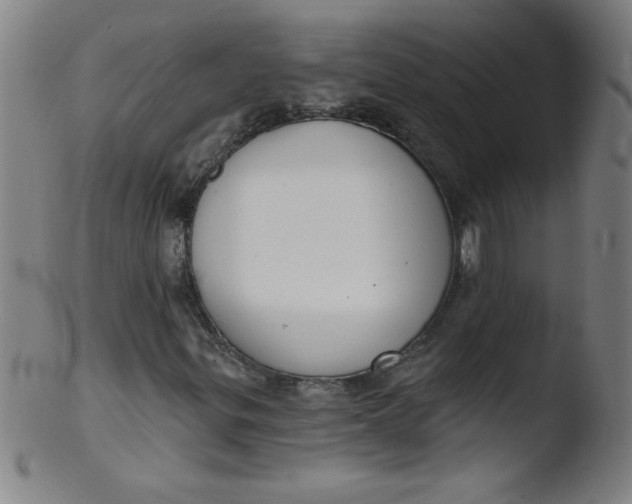 X0000103471299200809261855