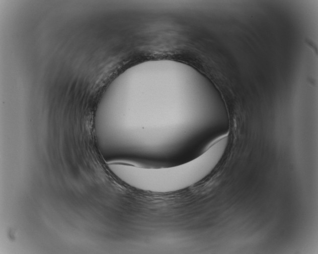 X0000103471300200809261855