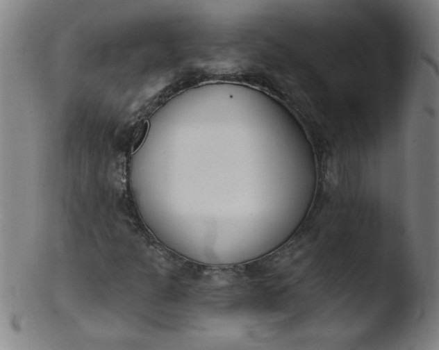 X0000103471301200809261855