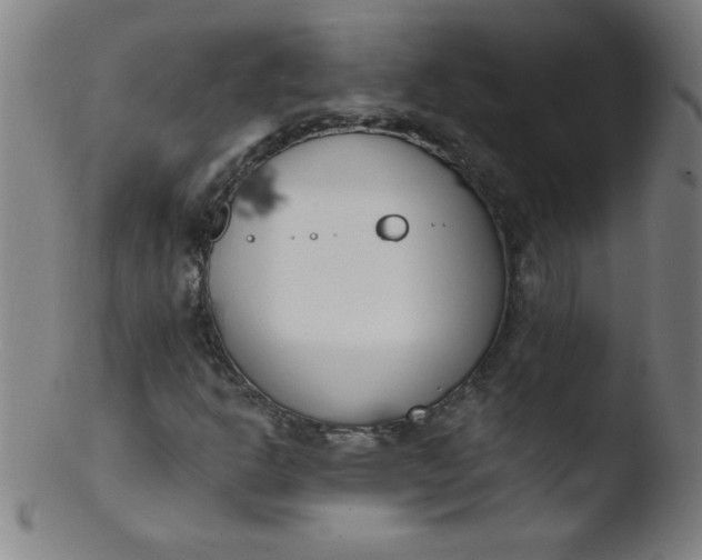 X0000103471302200809261855