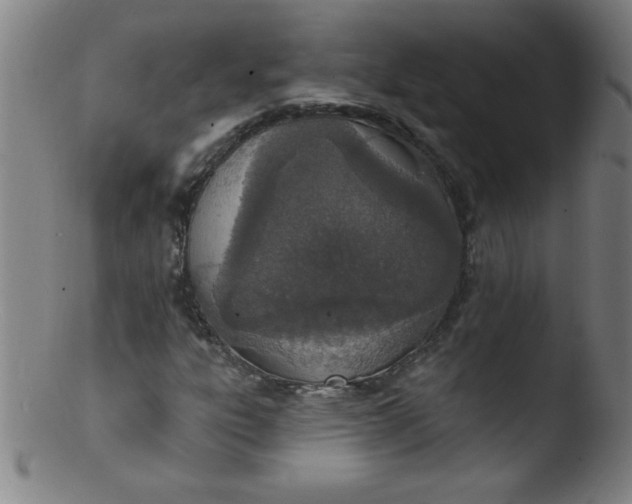 X0000103471303200809261855