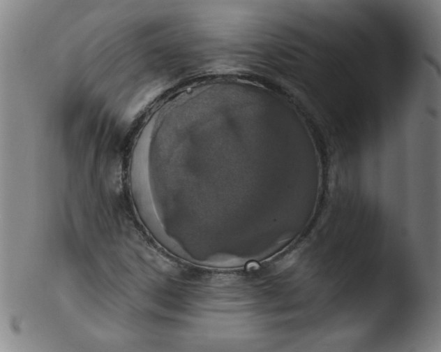 X0000103471306200809261855