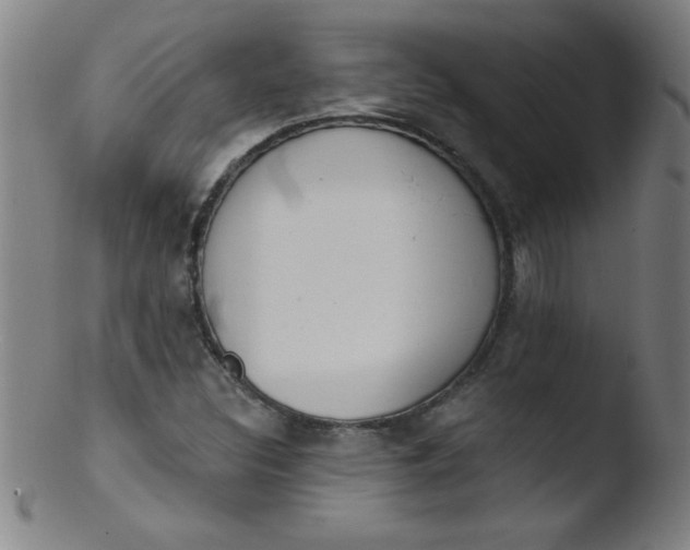 X0000103471308200809261855