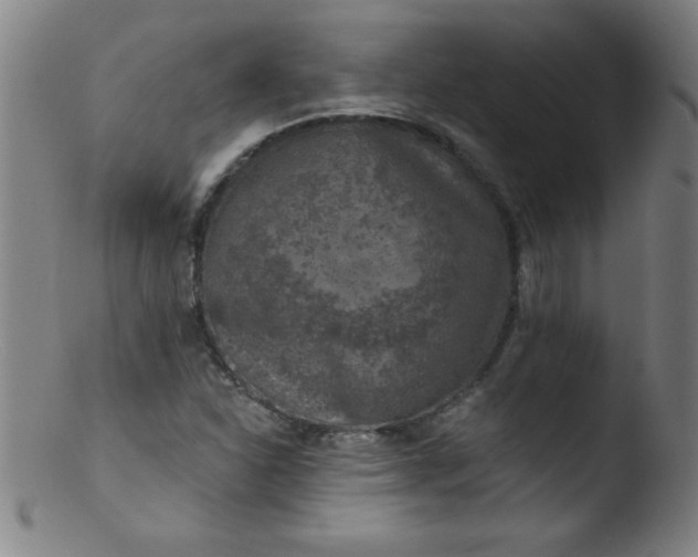 X0000103471310200809261855