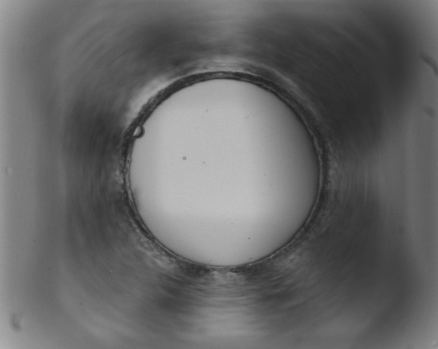 X0000103471312200809261855