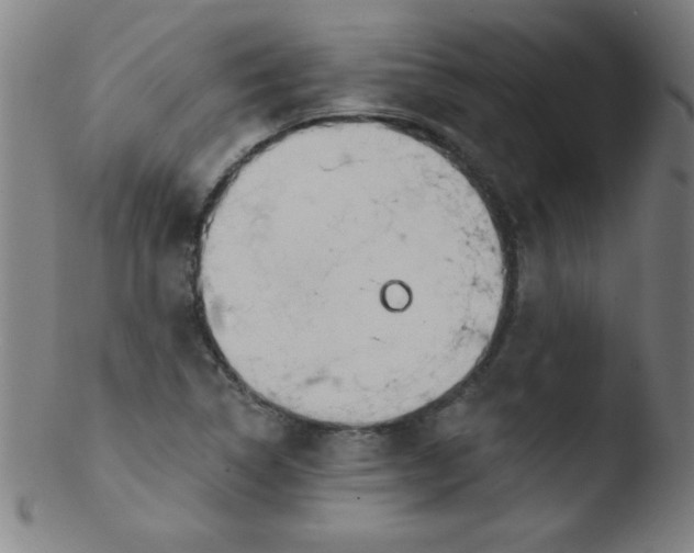 X0000103471314200809261855