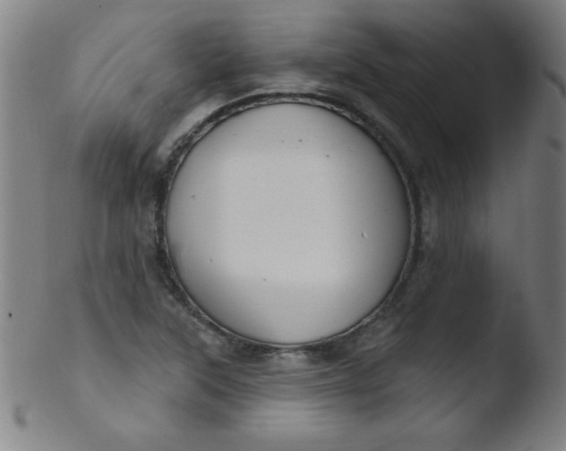 X0000103471315200809261855