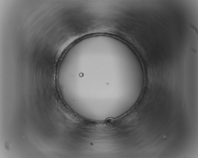 X0000103471316200809261855