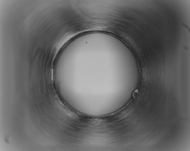 X0000103471324200809261855