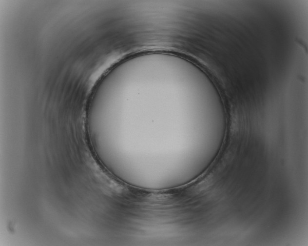 X0000103471325200809261855