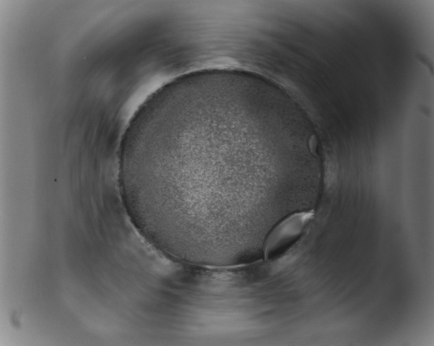 X0000103471326200809261855