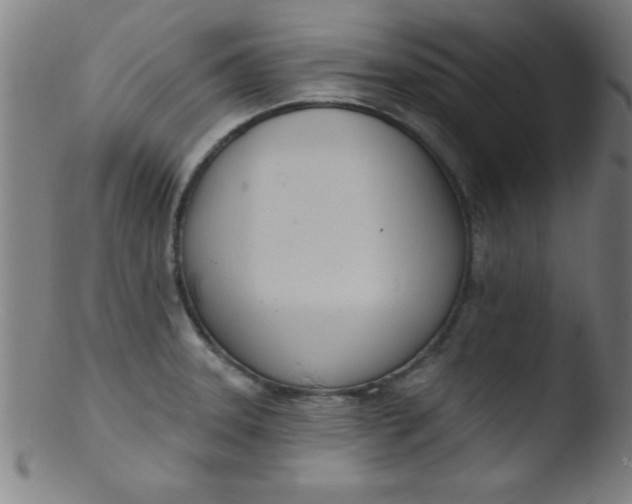 X0000103471331200809261855