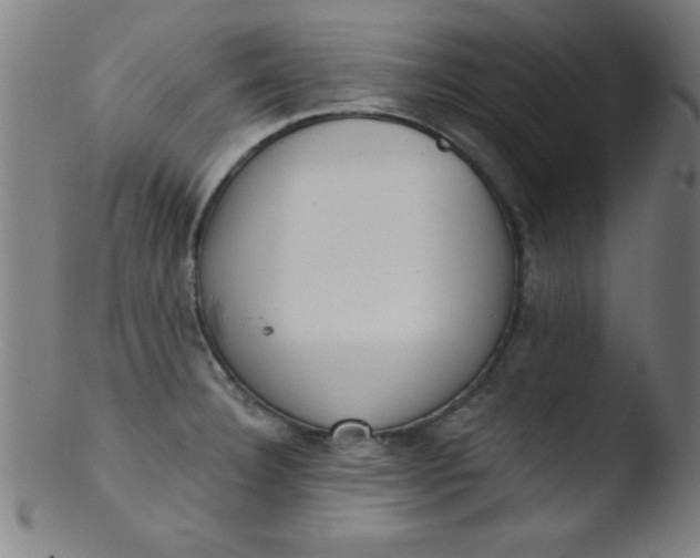 X0000103471332200809261855