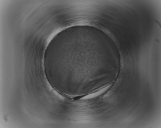 X0000103471334200809261855