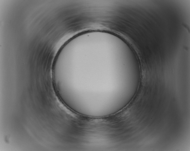 X0000103471335200809261855