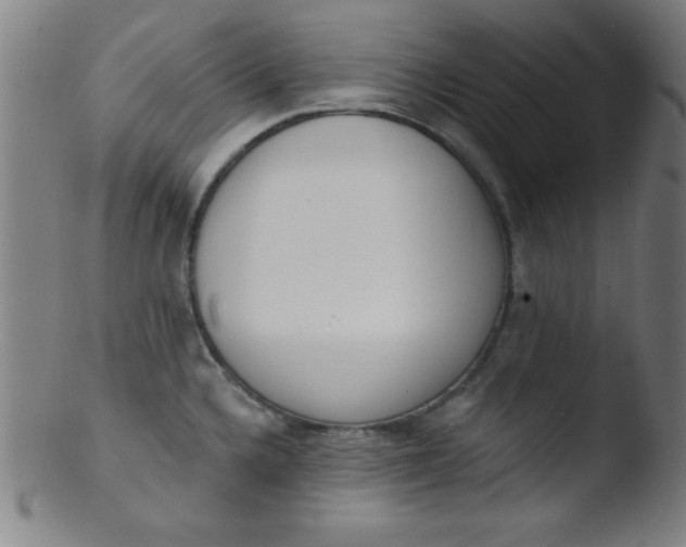 X0000103471336200809261855