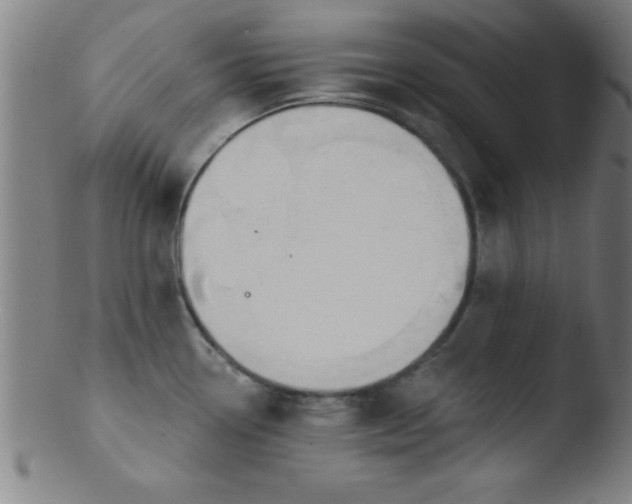 X0000103471338200809261855