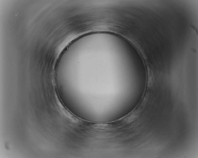 X0000103471342200809261855