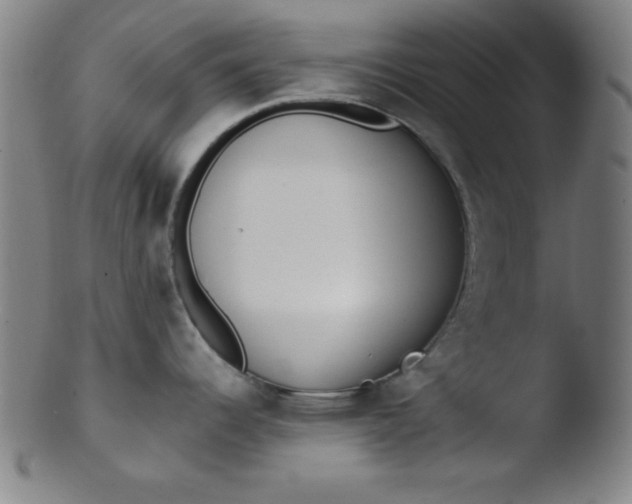 X0000103471344200809261855