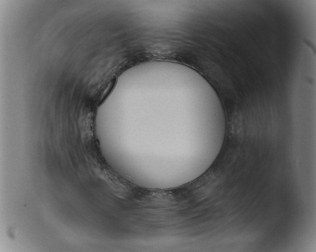 X0000103471346200809261855