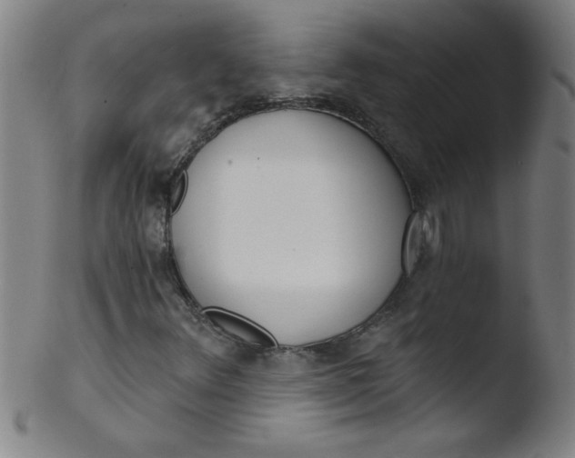 X0000103471348200809261855