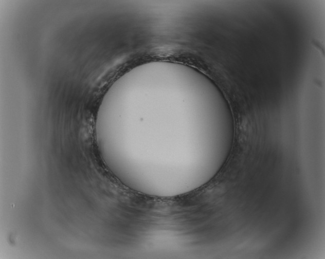 X0000103471349200809261855