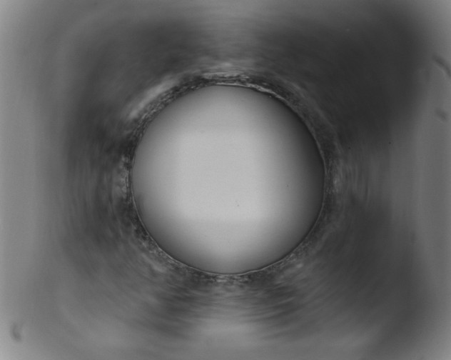 X0000103471350200809261855