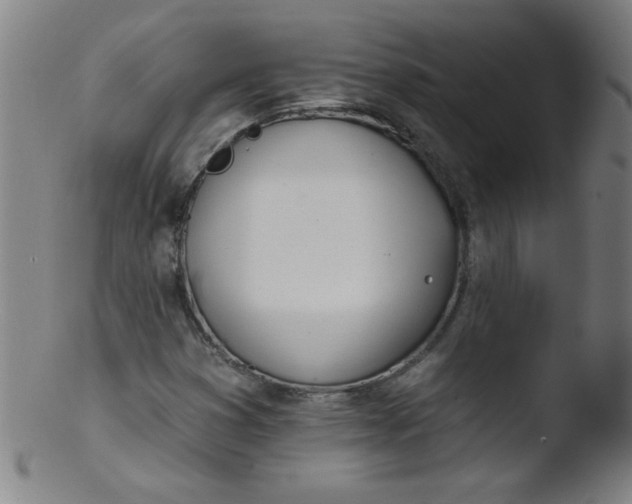 X0000103471353200809261855