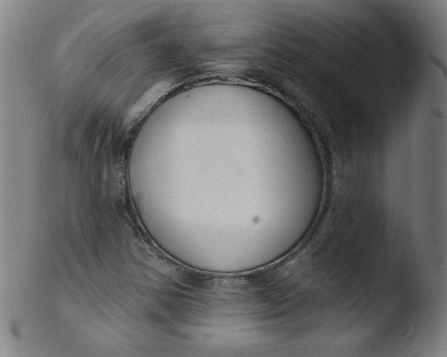 X0000103471354200809261855