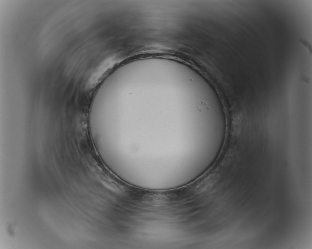 X0000103471355200809261854