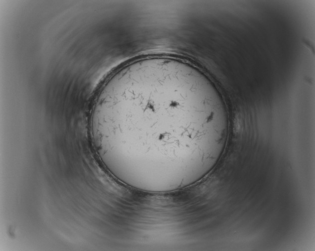 X0000103471356200809261854