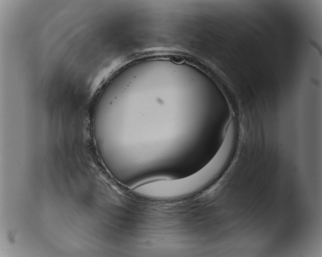 X0000103471357200809261854