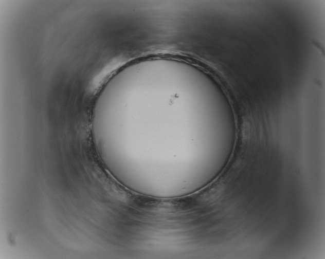 X0000103471359200809261854