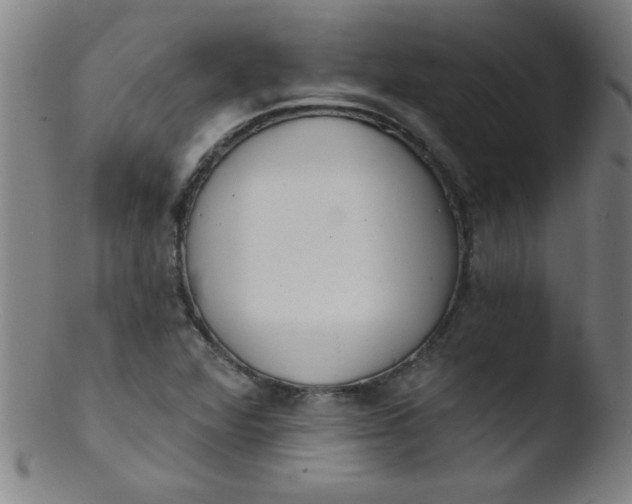 X0000103471360200809261854