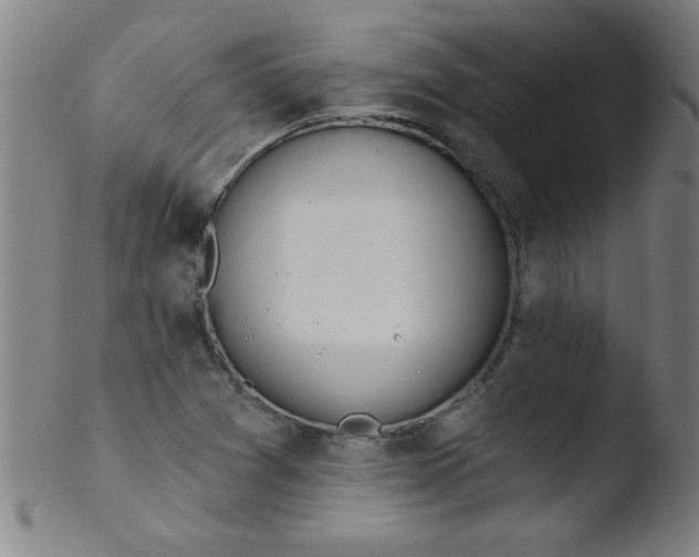 X0000103471361200809261854