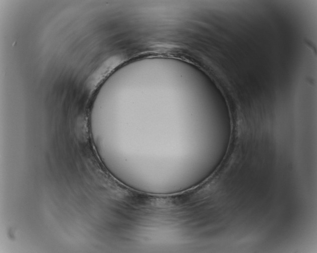 X0000103471362200809261854