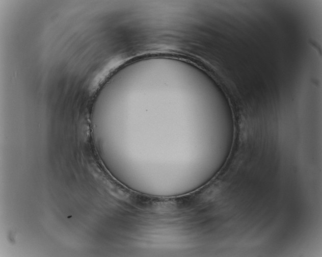 X0000103471363200809261854