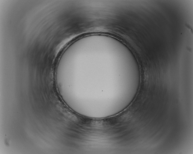 X0000103471364200809261854