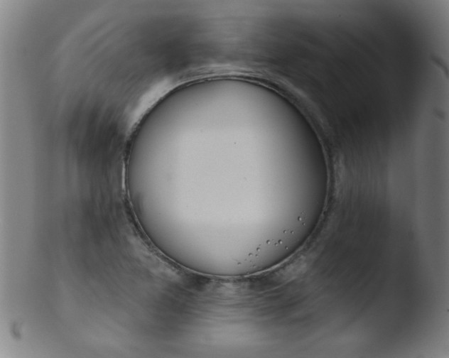 X0000103471365200809261854